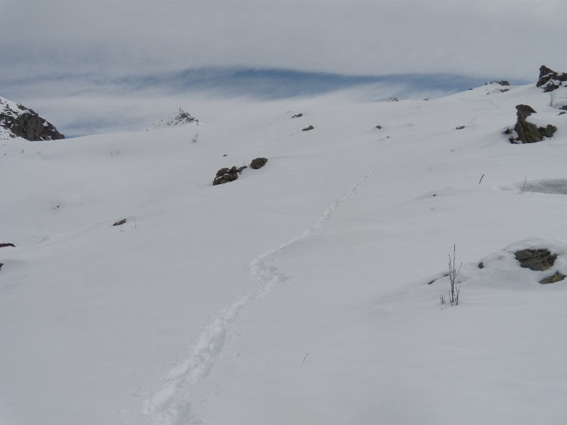 fine febbraio 2011 048.jpg